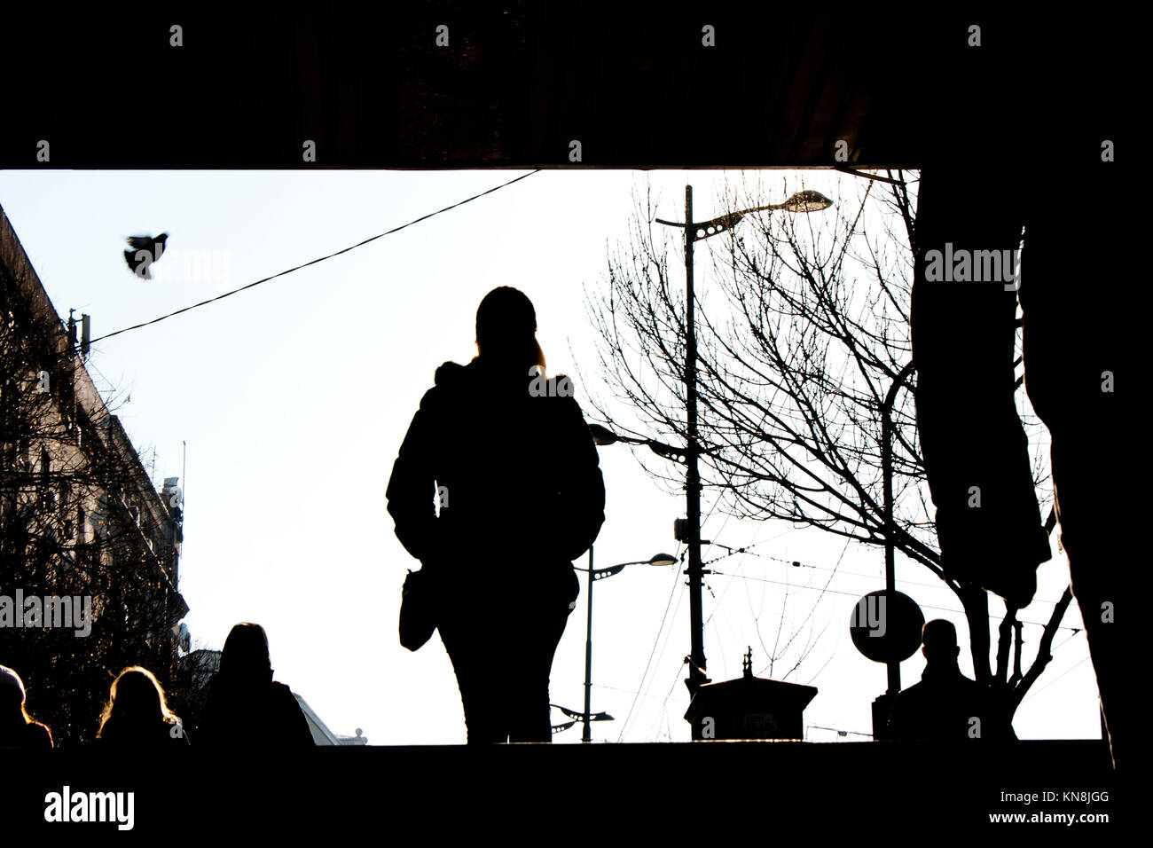Winter Sonne Silhouetten von Menschen in der U-Bahn Straße Passage und Down Stairs, gegen die Stadt sky witj eine fliegende Taube Stockfoto