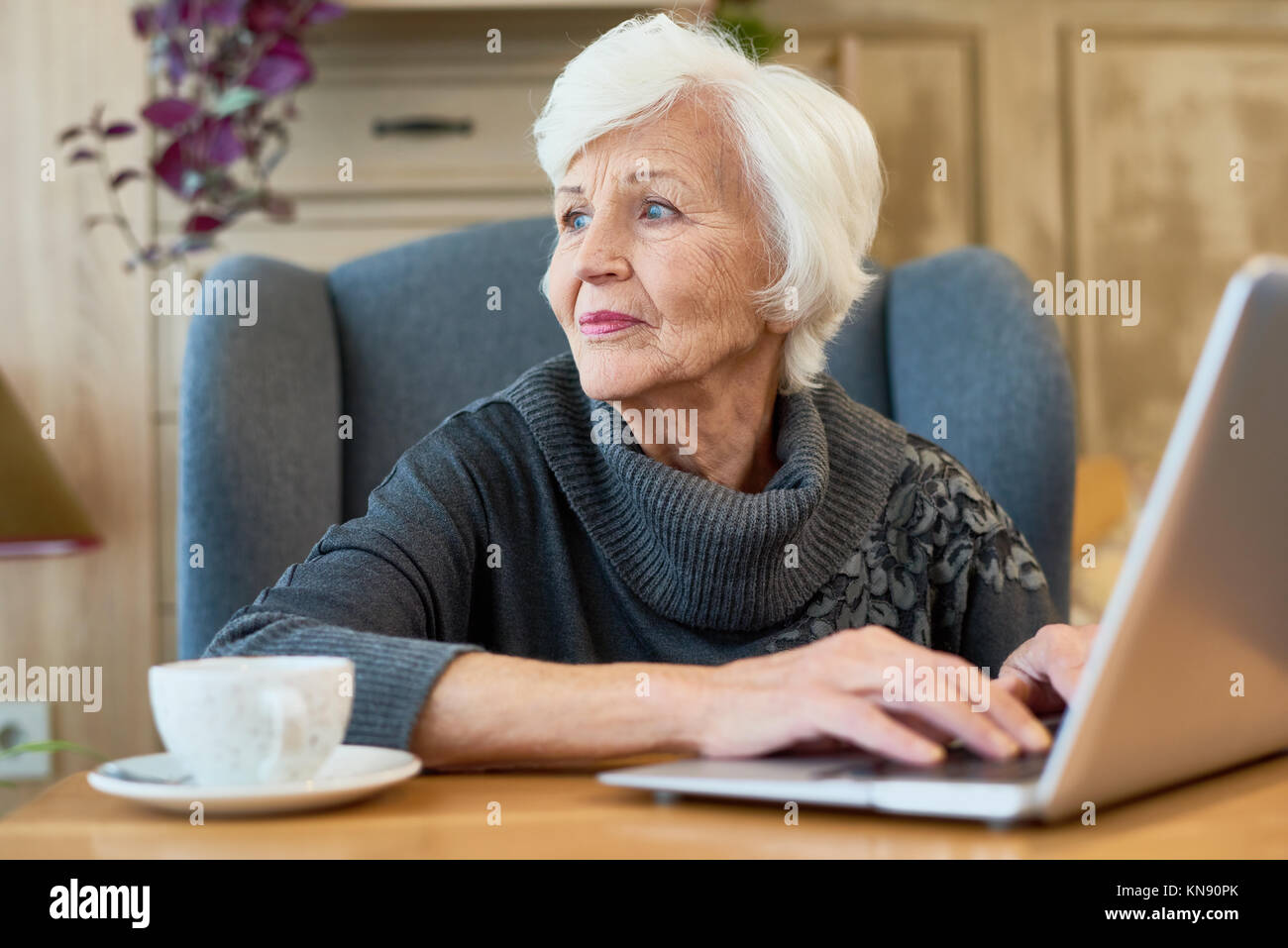 Elegante ältere Frau mit Laptop Stockfoto