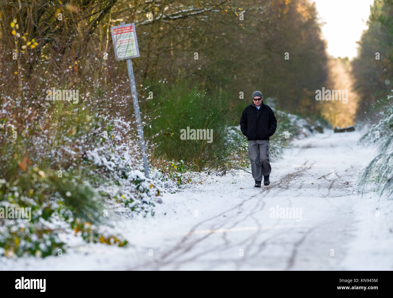 Menschen, die einen Nachmittag Spaziergang entlang eines verschneiten Forstweg. Stockfoto