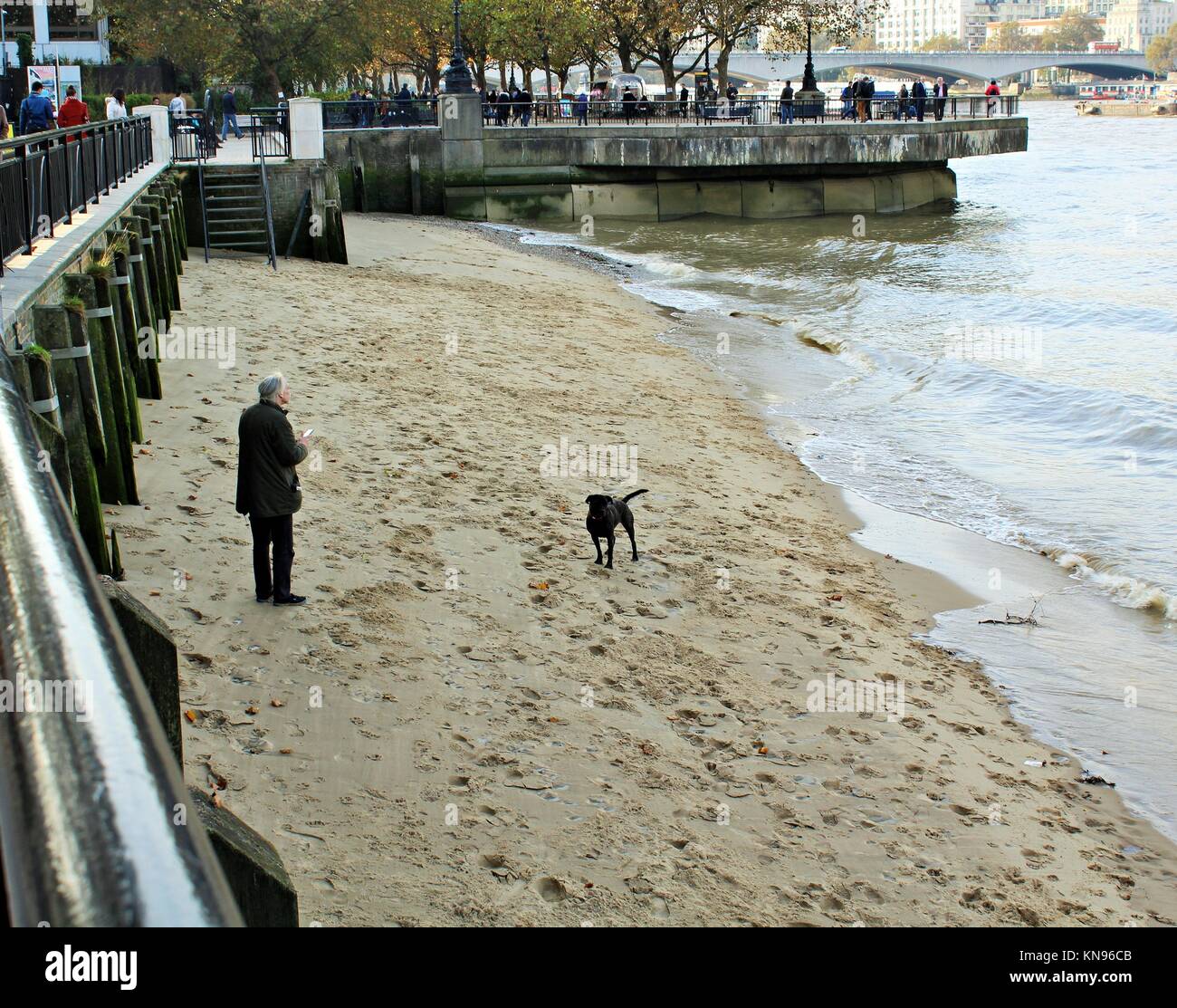 Mensch und Hund auf dem Sand an der South Bank in London. Stockfoto
