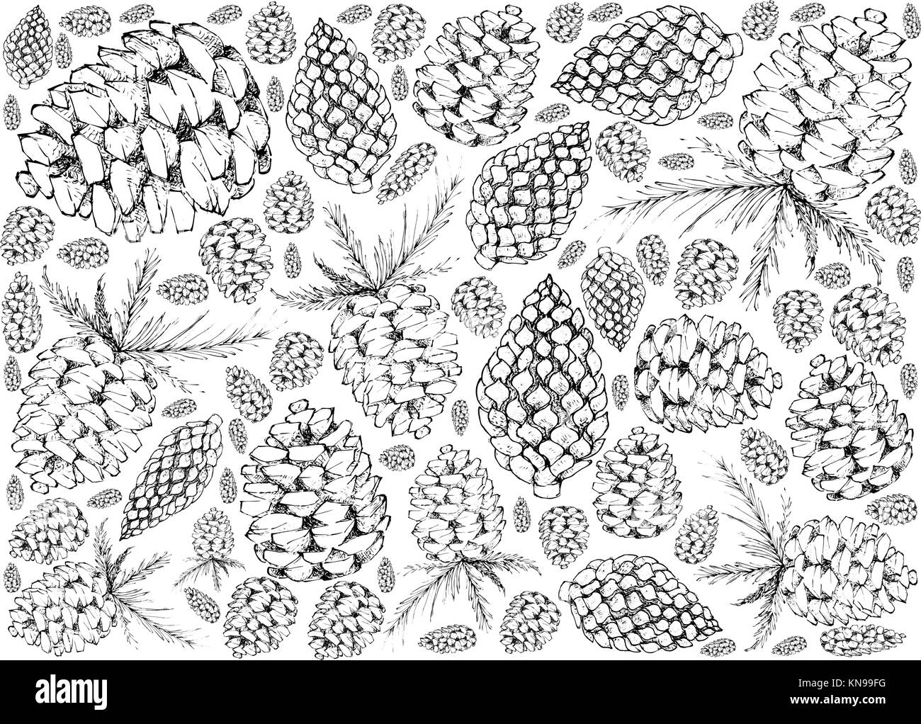 Hintergrund Illustration Hand gezeichnete Skizze der verschiedenen Stil der schöne Weihnachten Tannenzapfen auf weißem Hintergrund, Zeichen für Start Weihnachten celeb Stock Vektor