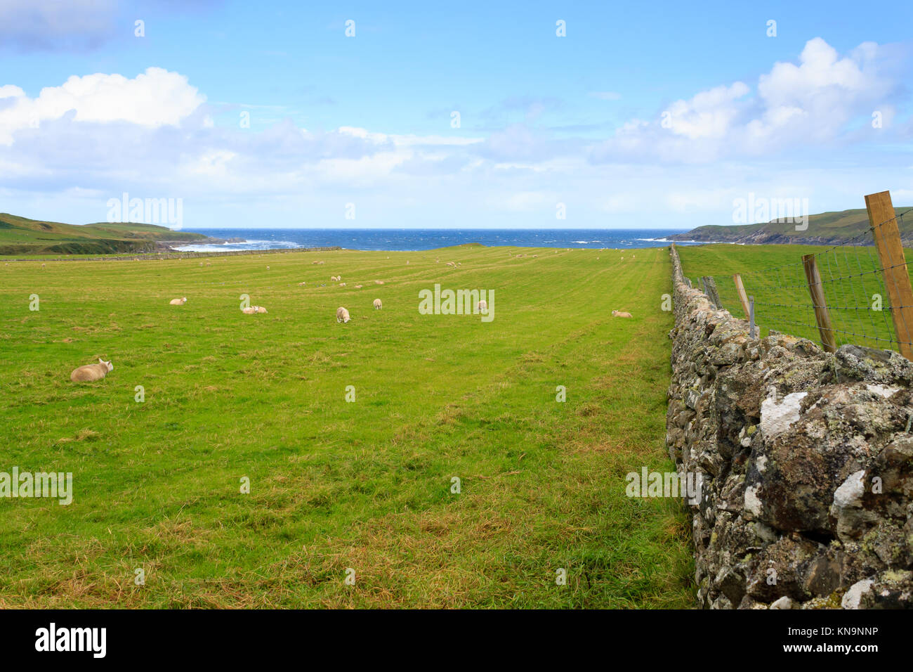 Schottische Landschaft, Vieh Zaun. Steinmauer in Sicht. Schöne ländliche Panorama aus Schottland Stockfoto