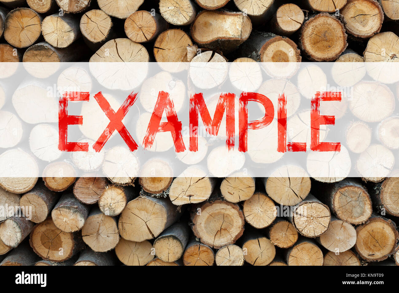 Konzeptionelle Ansage Bildunterschrift Inspiration zeigt Beispiel Business Konzept für Instanz Abbildung Paradigma zum Beispiel auf Holz- ba geschrieben Stockfoto