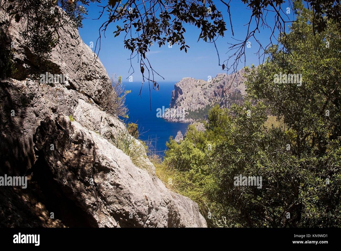 Zu Fuß Weg Natur Landschaftsansicht im Tramuntana-Gebirge zwischen Sóller und Cala Tuent, Mallorca, Spanien. Stockfoto