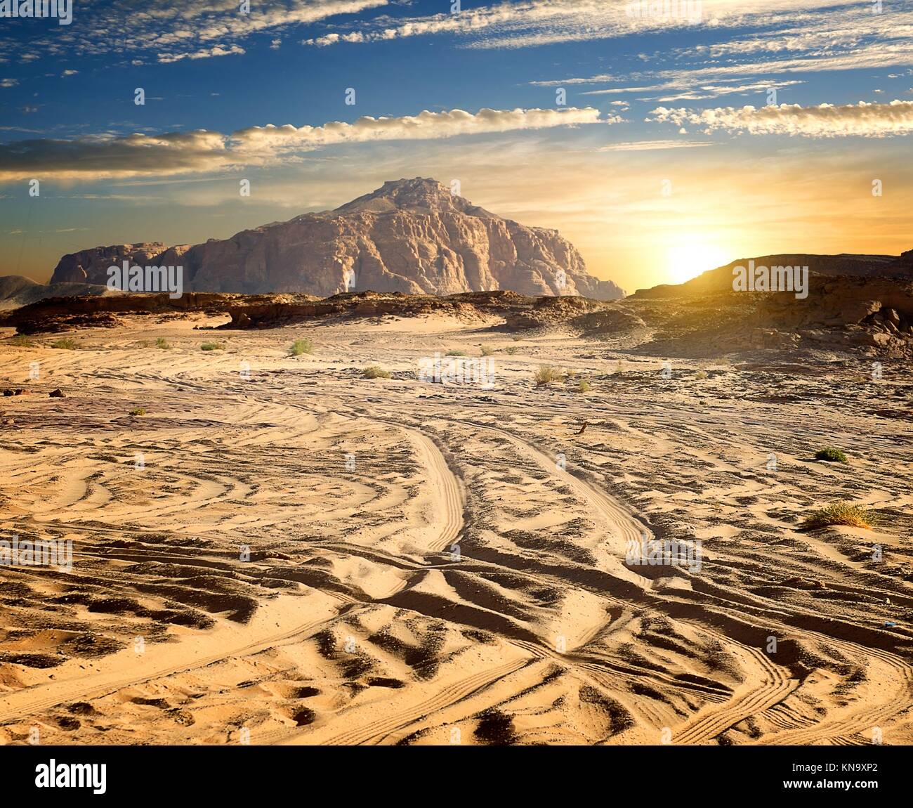 Steine im Sand der Wüste im sonnigen Abend. Stockfoto