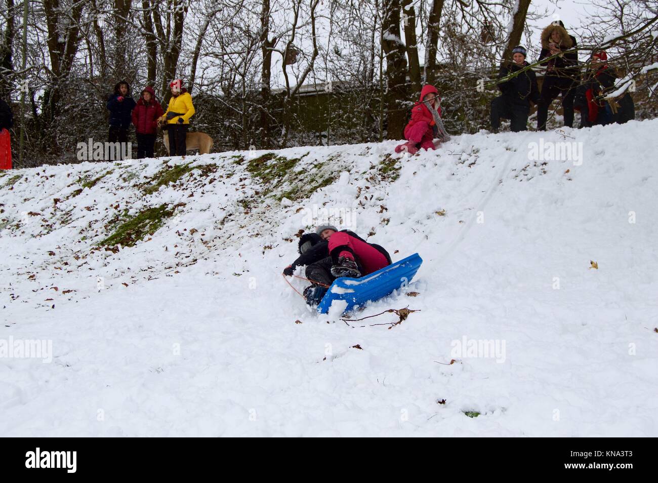 Kinder und Erwachsene genießen die Unerwartete starker Schneefall, Snowboarden und Rodeln den Hügel hinunter in Scharf, Felder, Hemel Hempstead, Hertfordshire Stockfoto