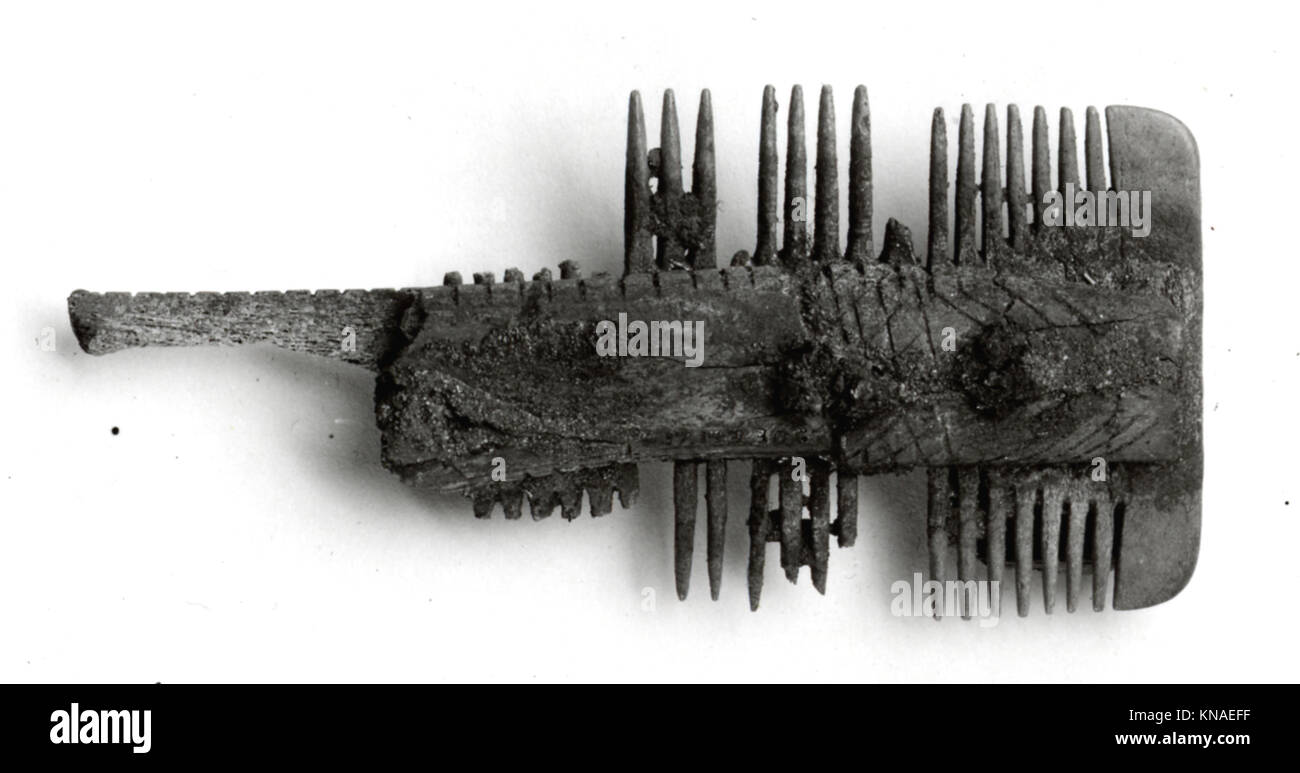 Doppelseitiger Kamm MET sf17-193-306s1 465639 fränkischer, doppelseitiger Kamm, 7. Jahrhundert, Knochen, Eisenstifte, insgesamt: 4 x 1 3/4 x 13/16 Zoll (10.2 x 4.5 x 2.1 cm). Das Metropolitan Museum of Art, New York. Schenkung von J. Pierpont Morgan, 1917 (17.193.306) Stockfoto