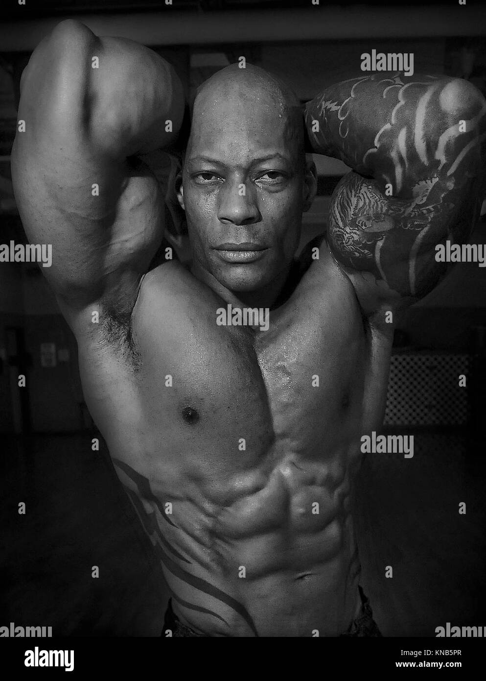 FORT LEE, Virginia (31. 6, 2017) --Chief Warrant Officer 3 Truman Ward, ein Ausbilder der Ordnance School hier zugewiesen ist, zeigt seine Beiträge zu den militärischen Bereitschaft - einen muskulösen Körperbau, die 44-Jährige in ausreichender Zustand seine Leistung als Soldat zu optimieren und erwarb ihm Auszeichnungen als Bodybuilder gehalten hat. War seine neuesten gewinnen seine vierte nachfolgende Professionelle männlichen Sport Modell Medaillon an den natürlichen Olympia XX 07.11.10-12 in Las Vegas statt. Die natürliche Olympia ist eine jährliche Veranstaltung fitness betont, ohne die Verwendung von Steroiden oder Wachstumshormone. Stockfoto