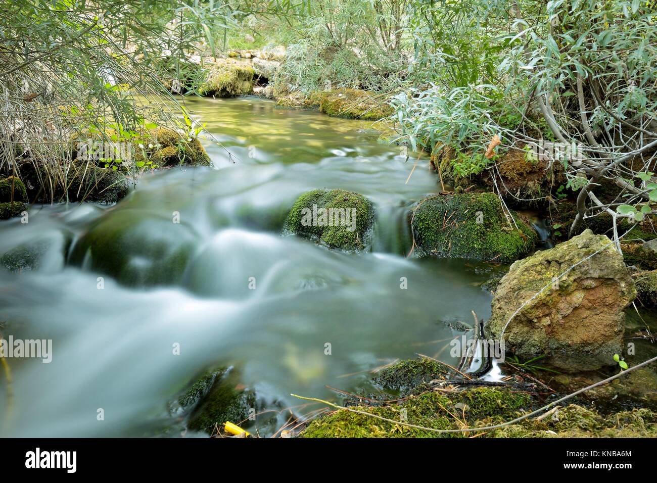 Wood River im Sommer, vorbei an den Munipal Begriff von Paterna del Madera, Albacete, Spanien. Horizontale Aufnahme mit Grüntönen. Stockfoto