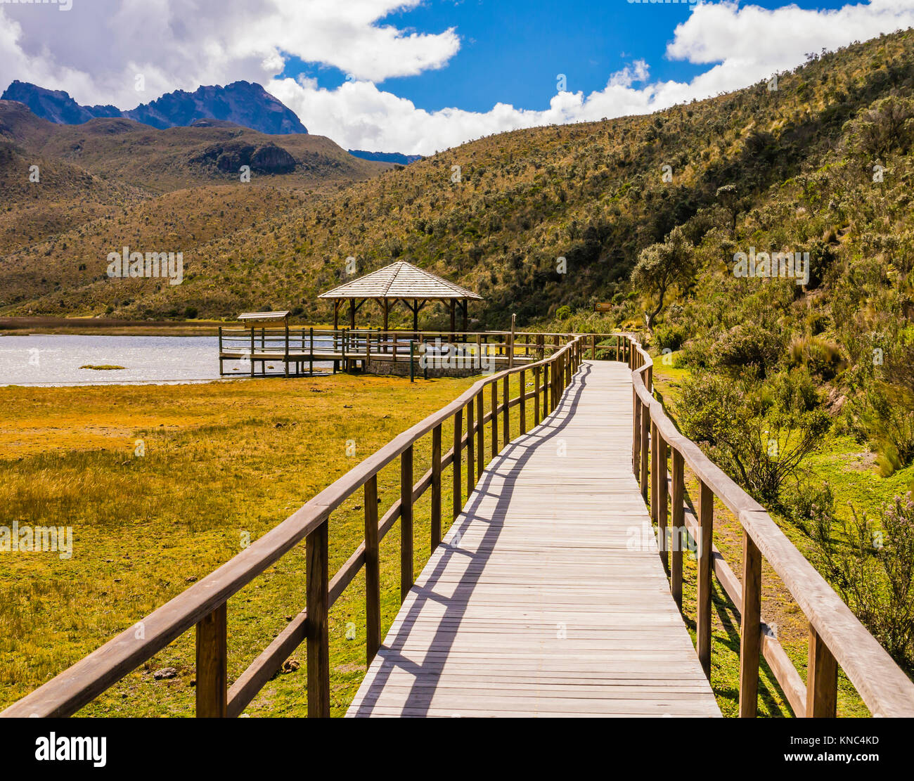 Holzsteg Überquerung Limpiopungo Lagune, Cotopaxi Nationalpark, Ecuador Stockfoto