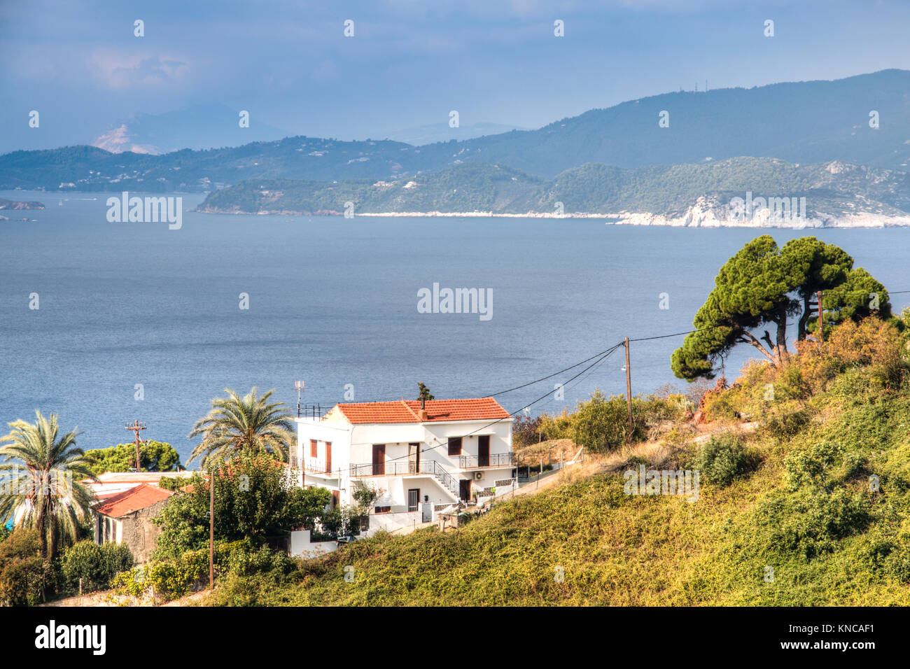 Blick über die Bucht von Skopelos Stadt auf der Insel Skopelos in Griechenland Stockfoto