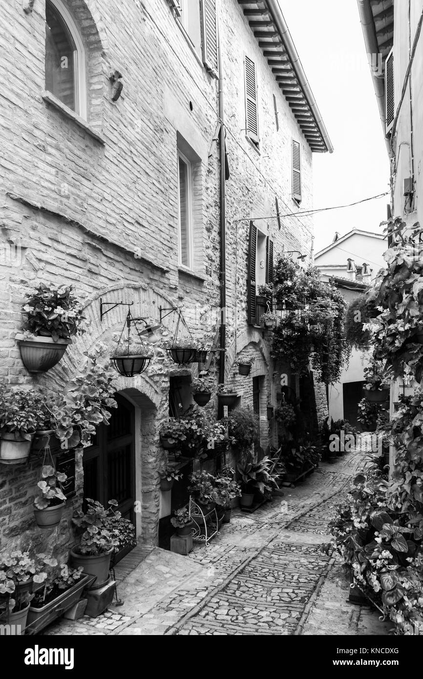 Eine Aussicht auf eine Gasse, die von vielen Blumen in Spello, Umbrien eingerichtet Stockfoto