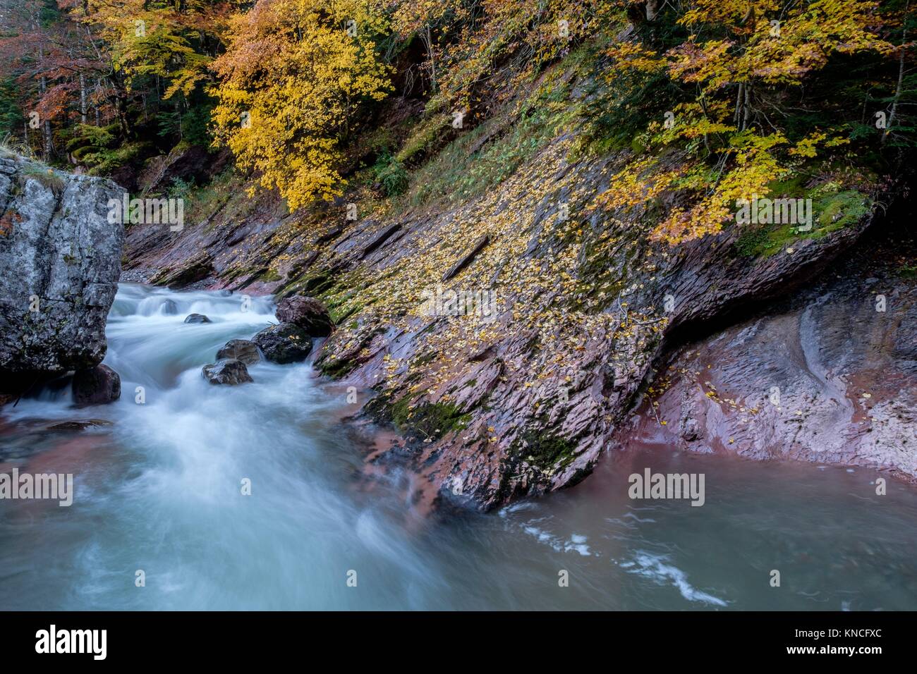 Aragon Subordan Fluss, Selva de Oza, Tal von Hecho, westlichen Täler
