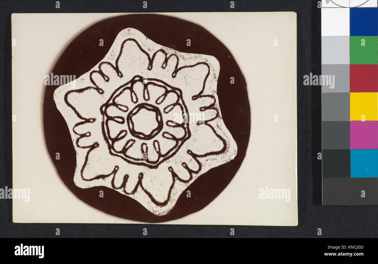 Die Zeichnung „Schneekristall“ zeigt detaillierte Schneeflockenmuster, die wissenschaftliche Beobachtung und künstlerische Darstellung kombinieren, um die empfindliche Struktur der Winterkristalle hervorzuheben. Stockfoto