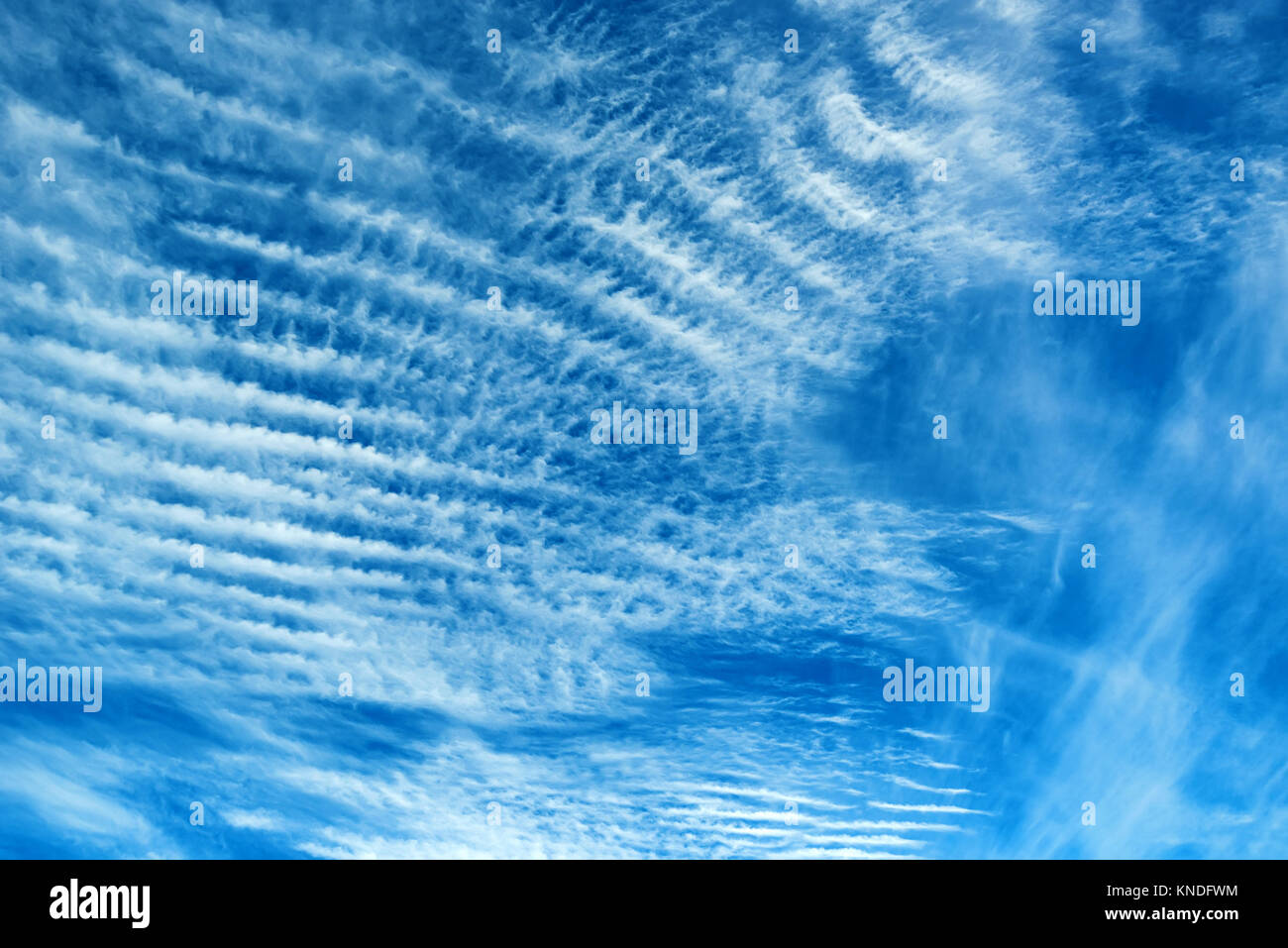 Schöne Skyscape mit flauschigen Wolken Stockfoto
