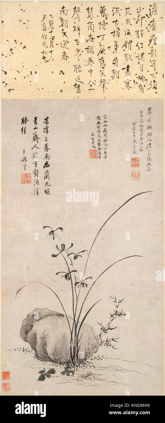 Orchidee und Rock. Artist: zugeschrieben, Ma Shouzhen (Chinesisch, 1548-1604); Zeitraum: Ming Dynastie (1368-1644); Datum: datiert 1572; Kultur: China; Medium: Stockfoto