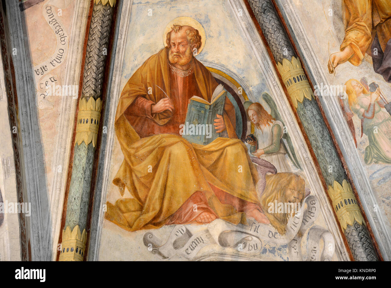 Italien San Daniele del Friuli Kirche S. Antonio Abate. Zyklus von Fresken aus dem 15. Jahrhundert von Pellegrino da San Daniele. In den Halbkreis der Apsis, zwischen den Segmenten, Marco der Evangelist. Stockfoto