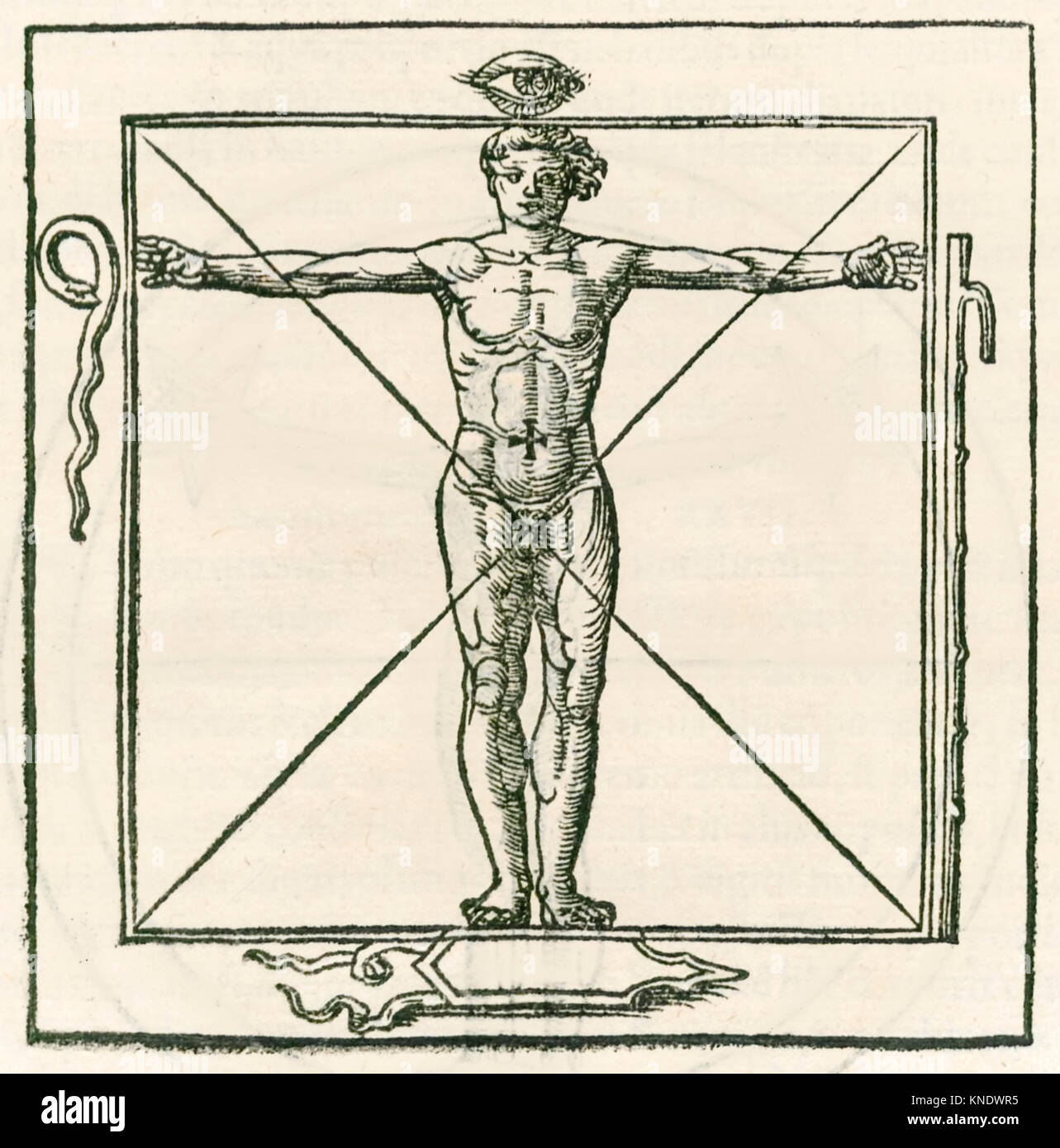 Mann in einem Quadrat durch Symbole des Auges, Schlange umgeben, sieben Kapitel Personal und Schild. Gravur von Heinrich Cornelius Agrippa von Nettesheim (1486-1535) 'De Helvetica philosophia libri tres" (drei Bücher von Okkulten Philosophie) im Jahre 1533 veröffentlicht. Weitere Informationen finden Sie unten. Stockfoto