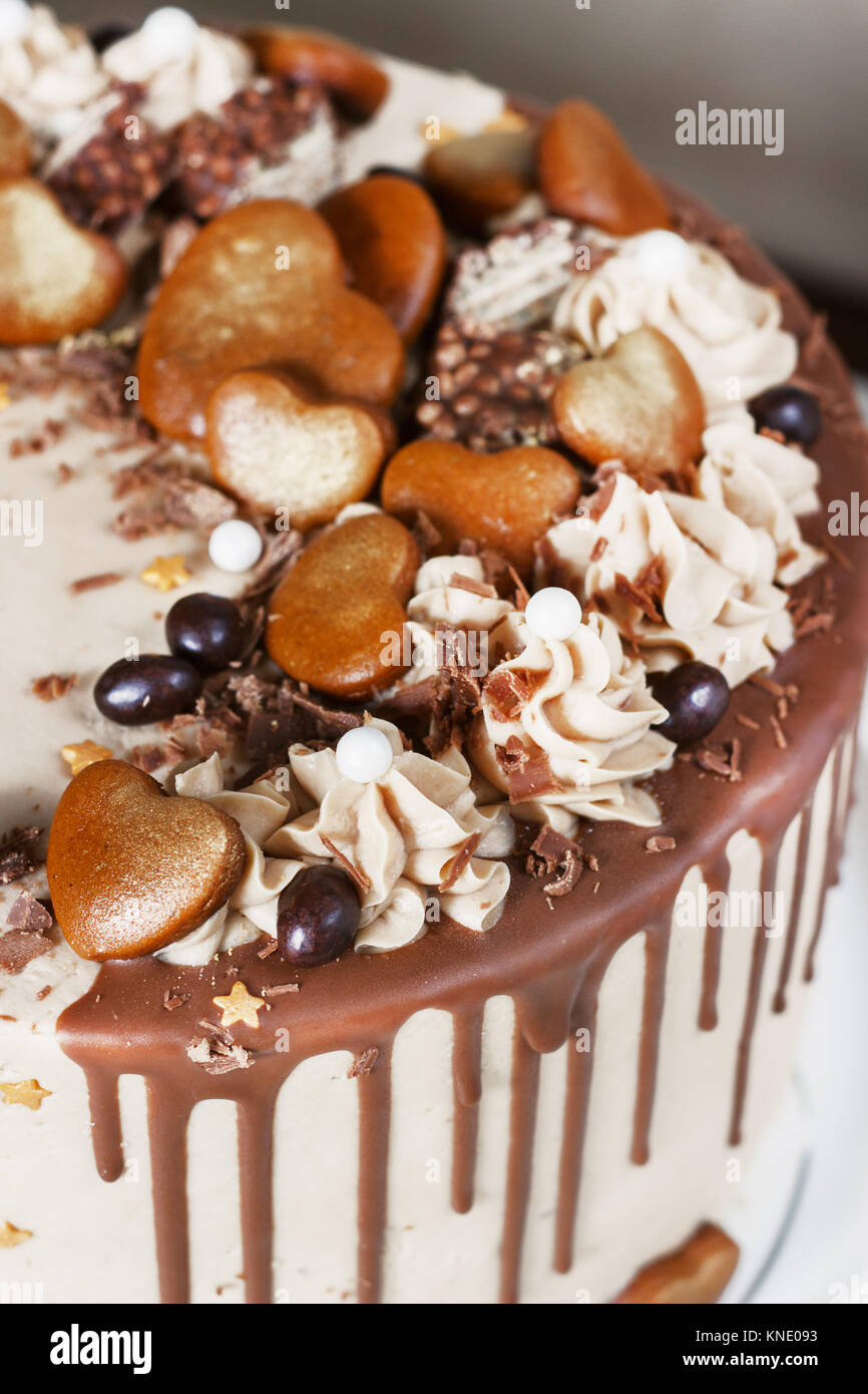 Schokoladenkuchen mit Fudge beträufelt Vereisung und Locken und Lebkuchen Stockfoto