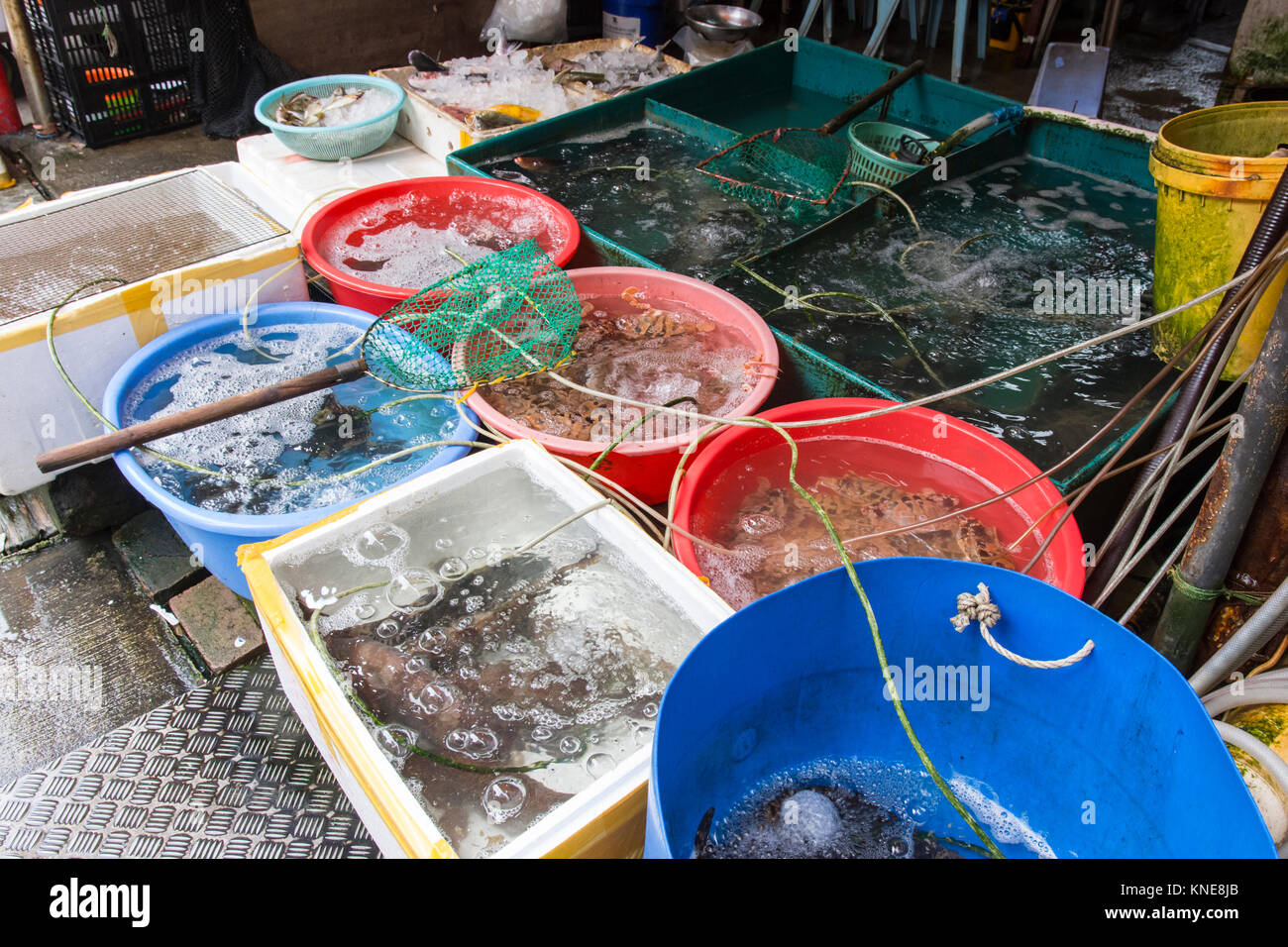 Fischerboote im Tai O Dorfs beim Verkauf von frischem Fisch. Stockfoto