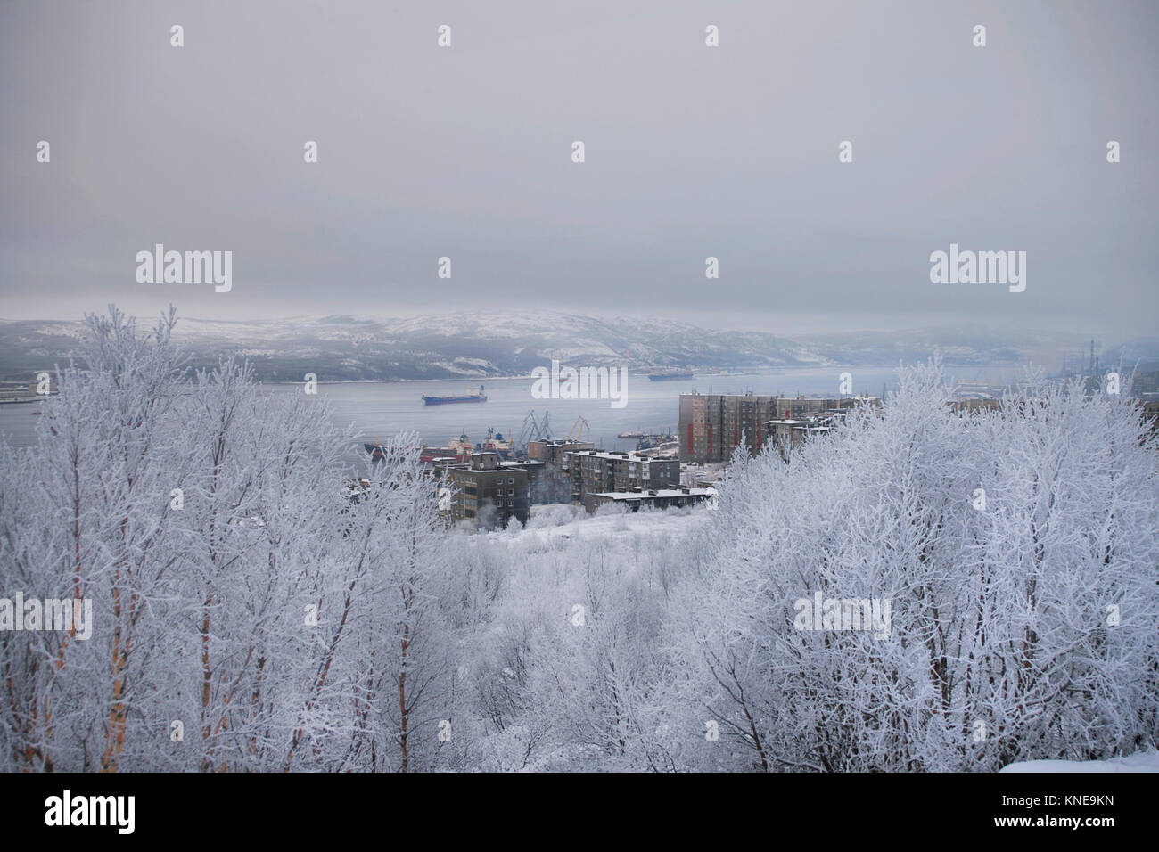 Blick auf den Hafen, die Stadt und die Bucht von der Hügel im Winter, im Vordergrund Büsche in den Schnee Stockfoto
