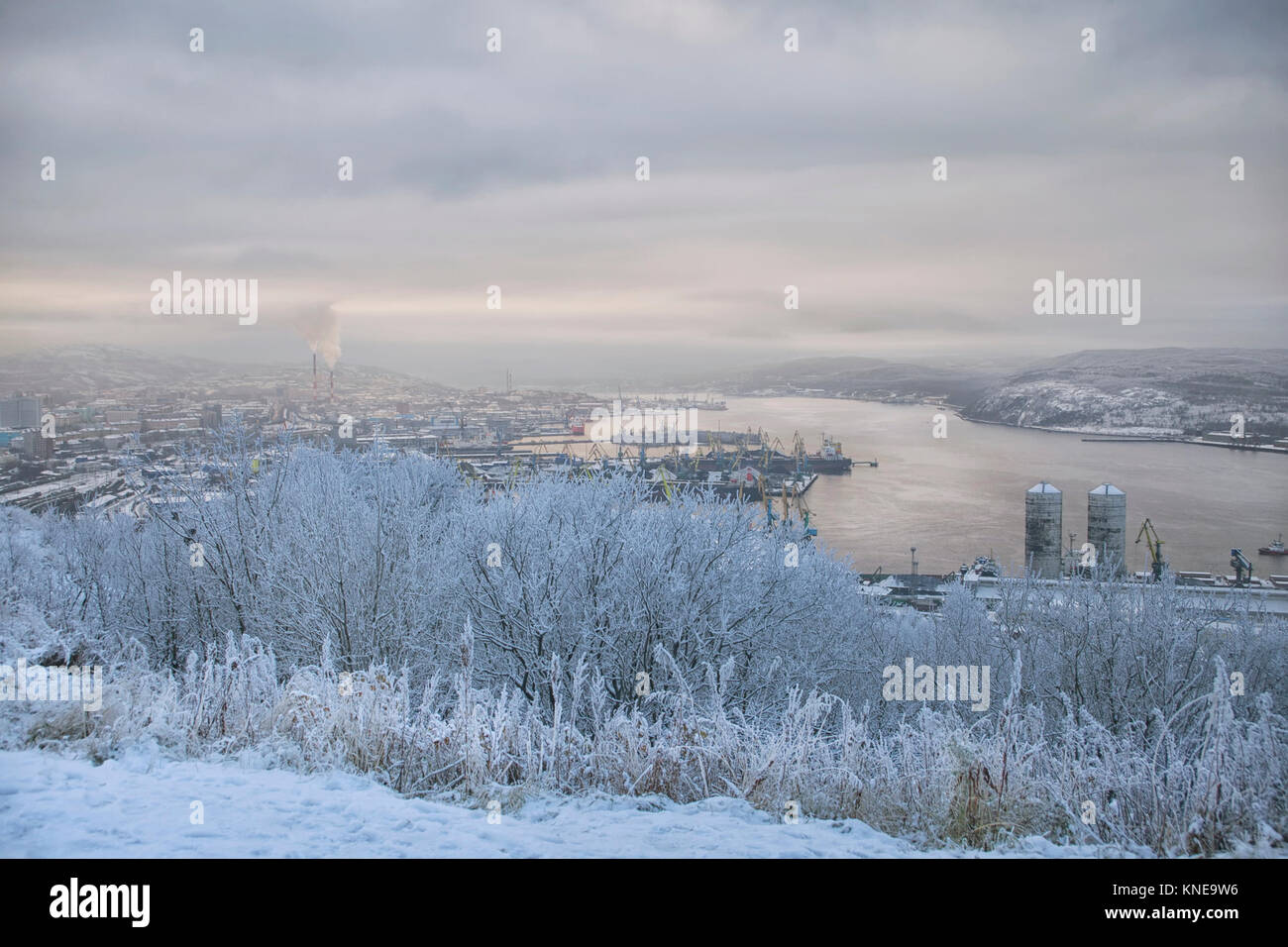 Blick auf den Hafen, die Stadt und die Bucht von der Hügel im Winter, im Vordergrund Büsche in den Schnee Stockfoto