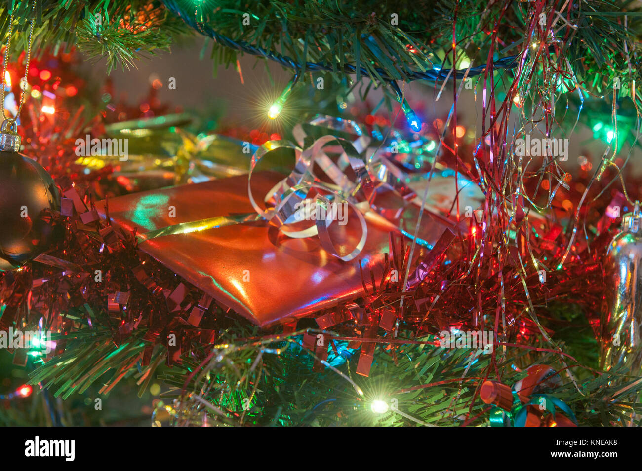 Nahaufnahme der Weihnachtsbaum mit Geschenk im Baum Stockfoto