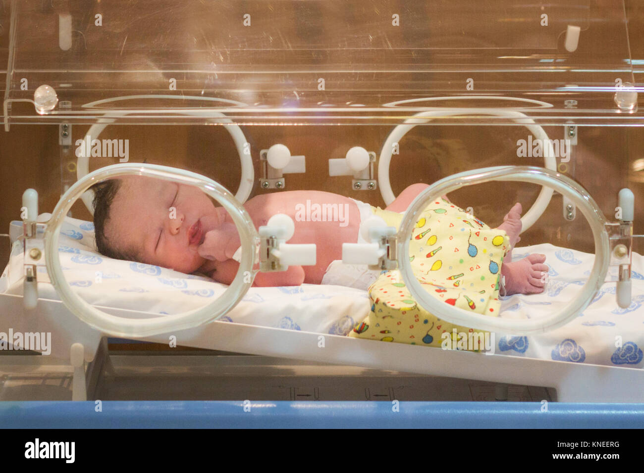 Neugeborenes Mädchen in einem Krankenhaus Inkubator Stockfoto