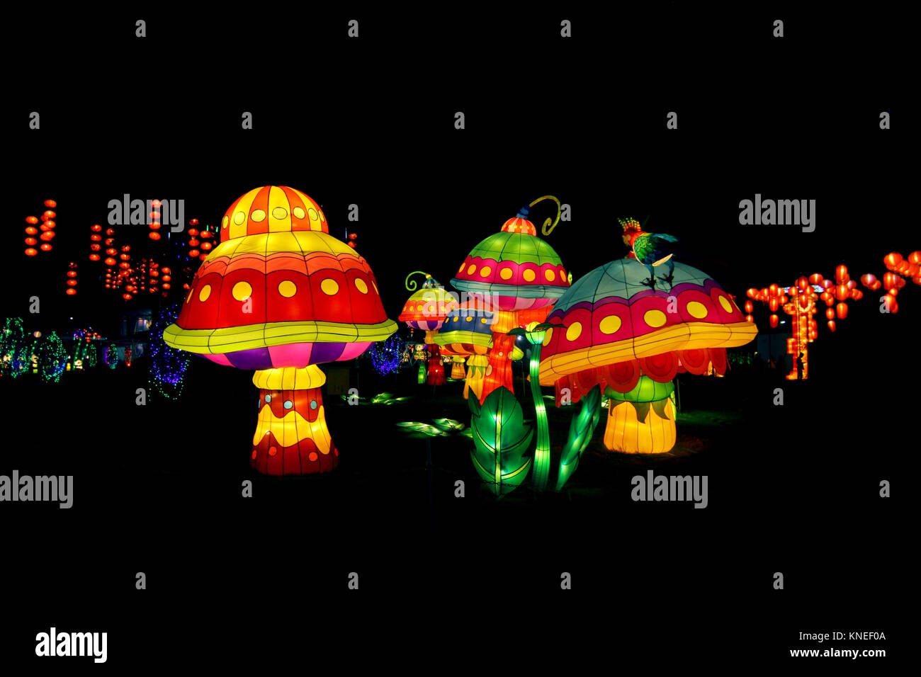 Chinesische Laternen an chinesischen Laternenfest beleuchtet Stockfoto