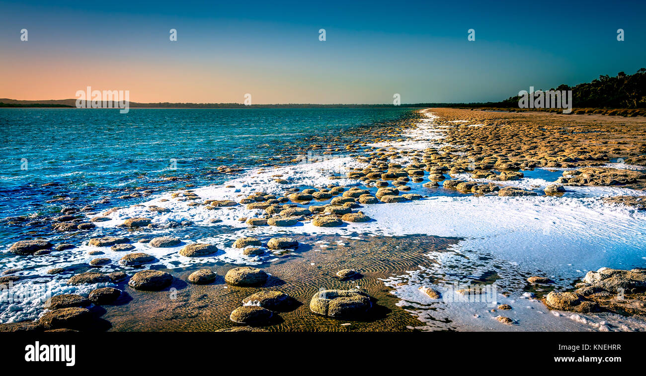 Thrombolites in Lake Clifton, Mandurah, Western Australia, Australien Stockfoto