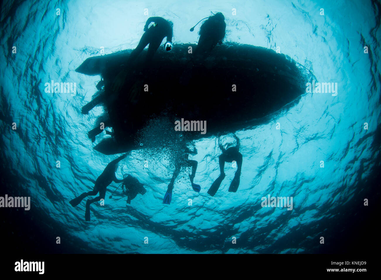 Unterwasser Silhouette von fünf Taucher auf einem Tauchboot Stockfoto