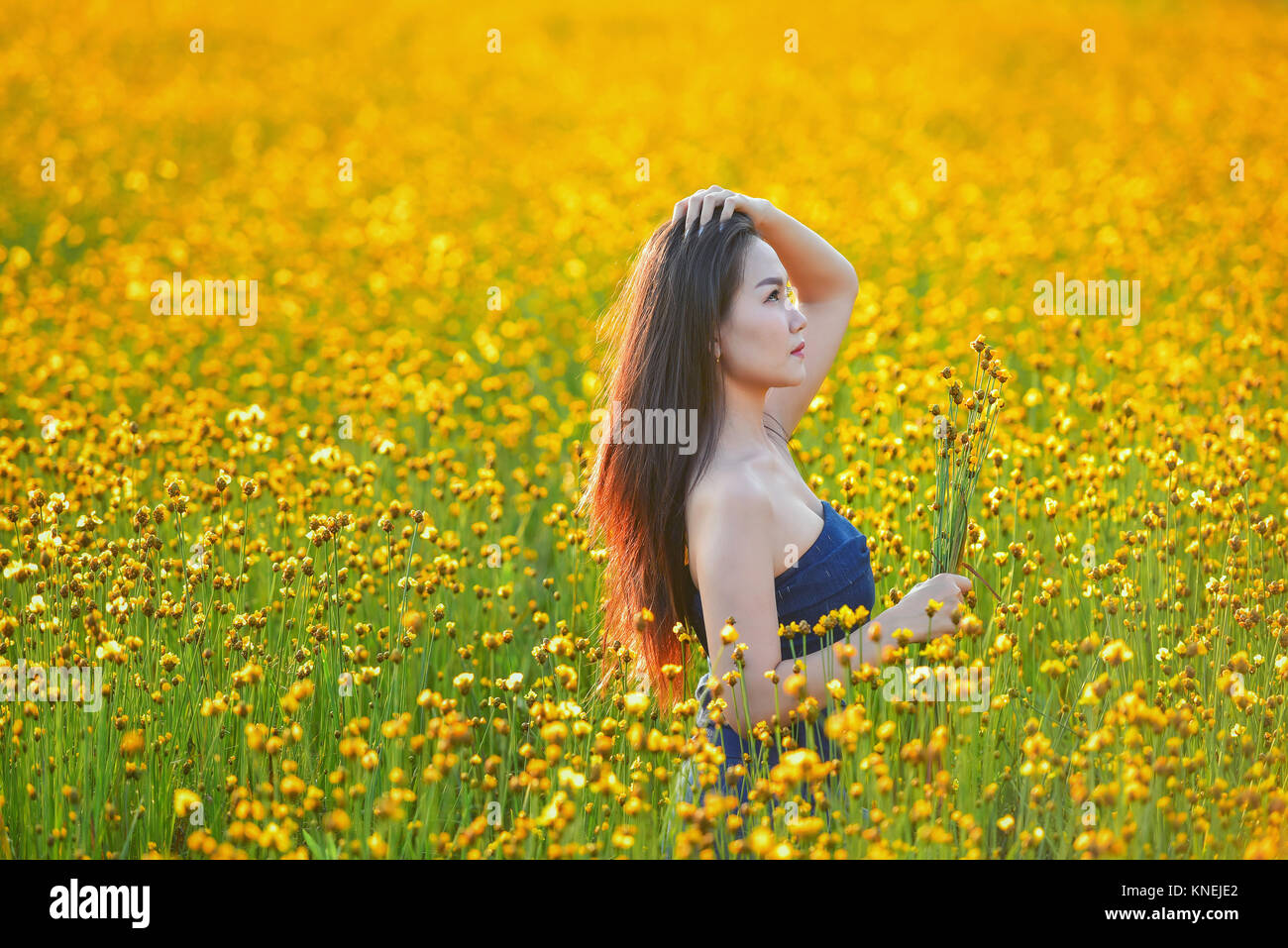Schöne Frau Blumen pflücken, Thailand Stockfoto
