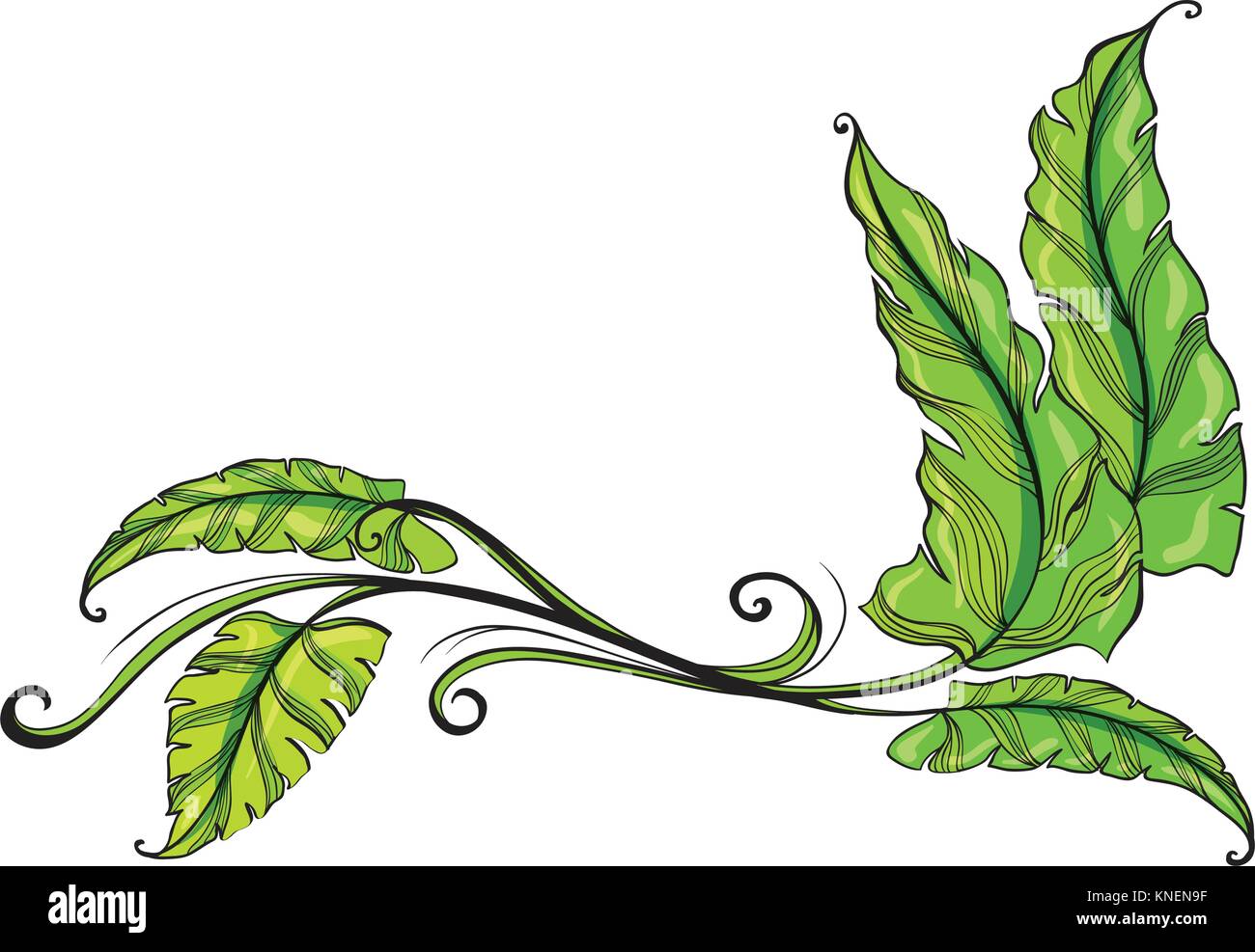 Abbildung: Grüne lange Blätter auf weißem Hintergrund Stock Vektor