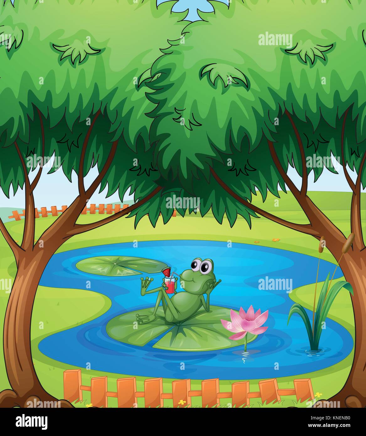 Weiher mit schwimmblattpflanzen kaufen Alamy