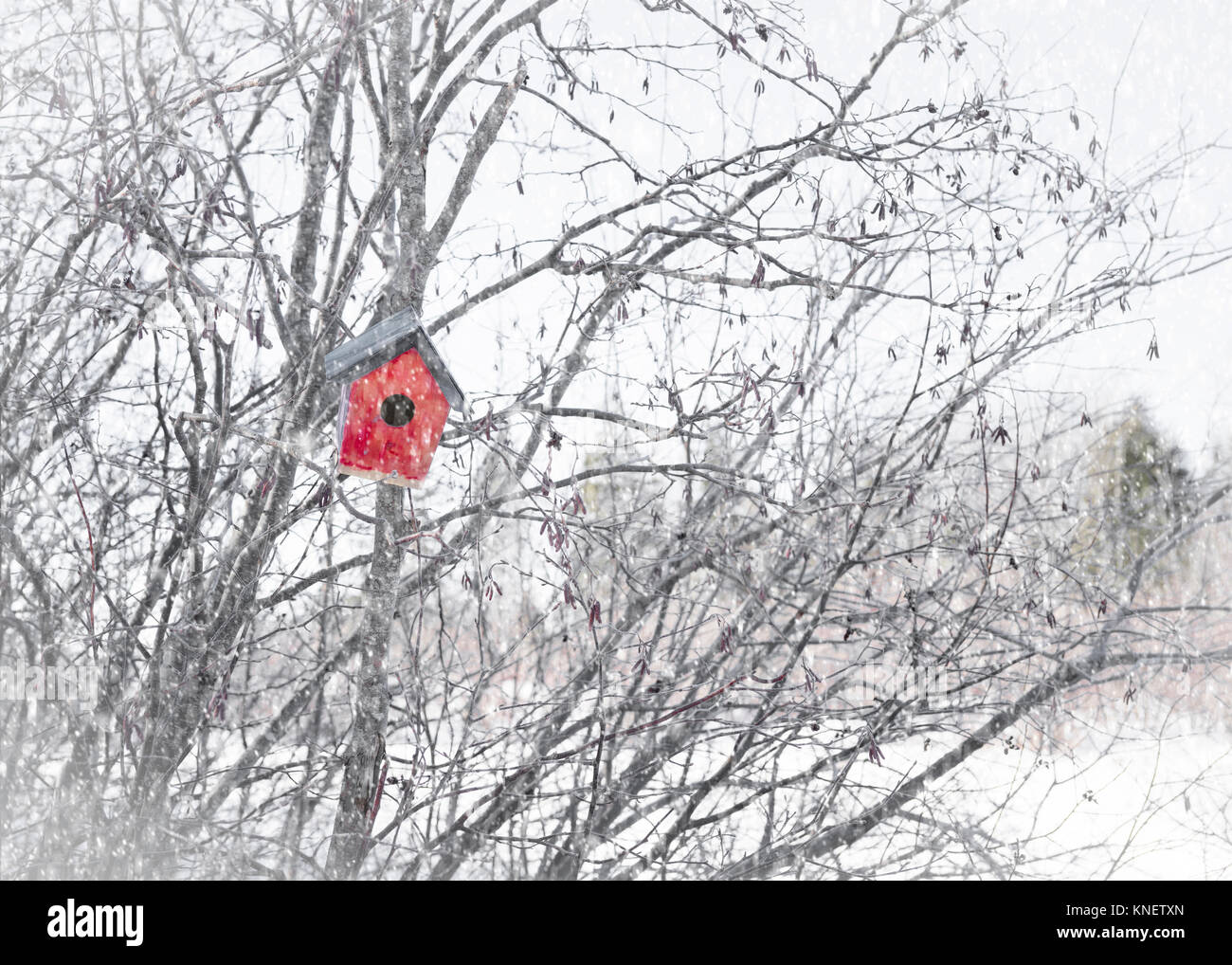 Vogelhaus in den fallenden Schnee. Stockfoto