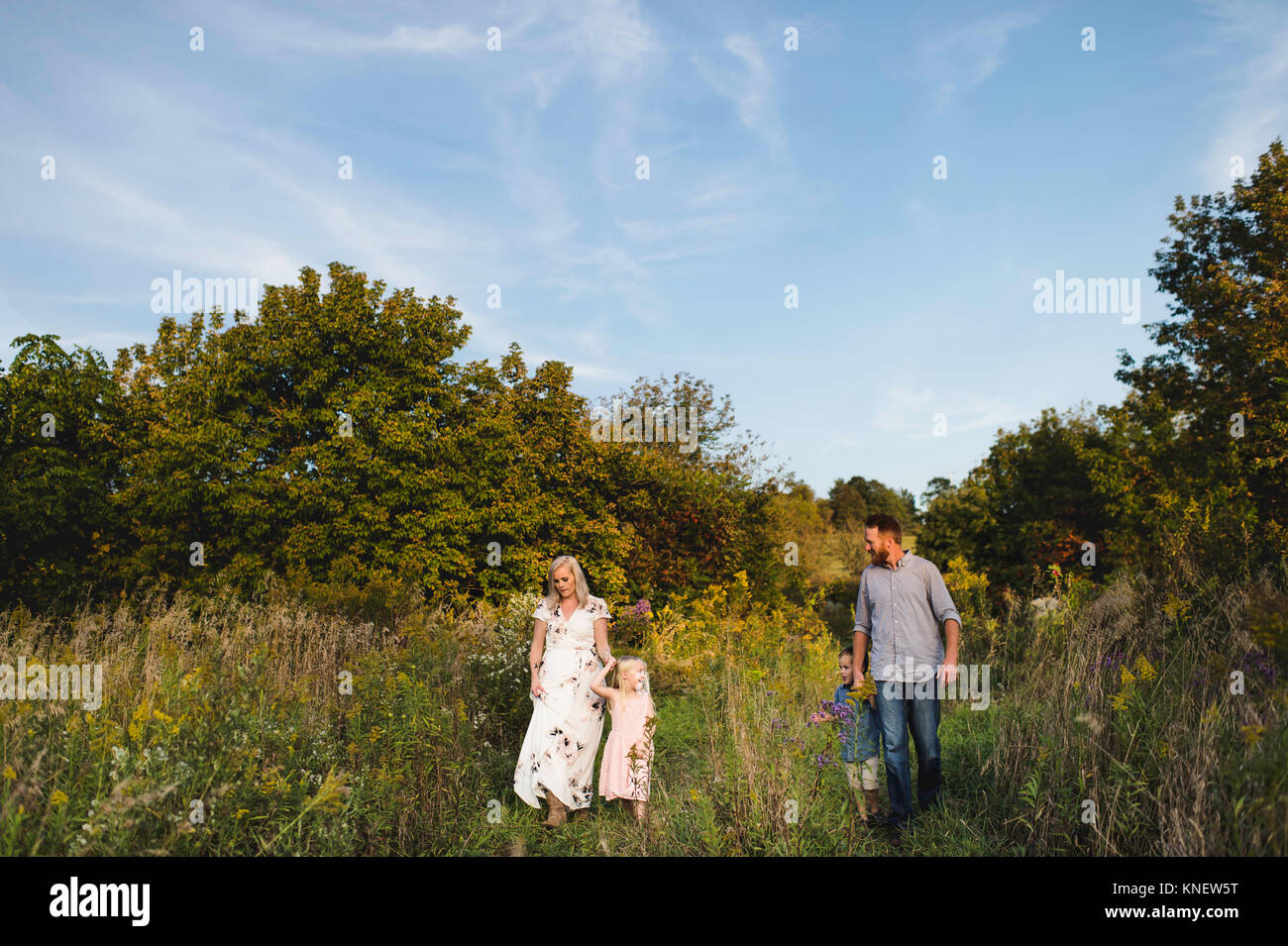 Familie wandern im hohen Gras zusammen Stockfoto