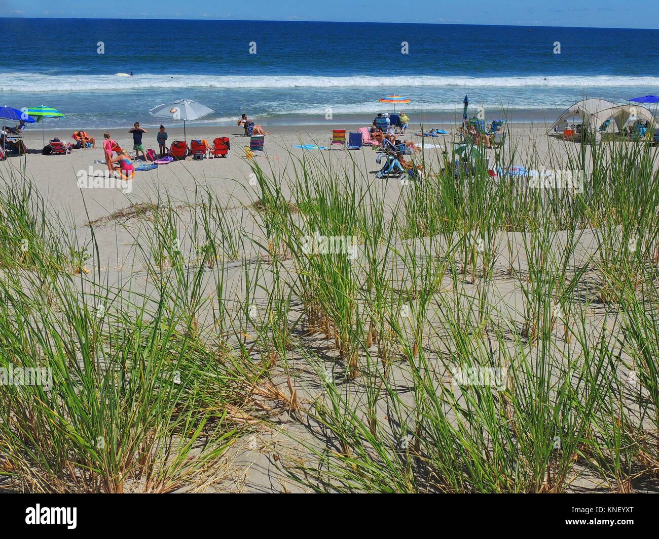 Die dune Grass blickt auf eine Szene von Sonne, Meer und Sand Badenden, Avalon, New Jersey, USA. Stockfoto