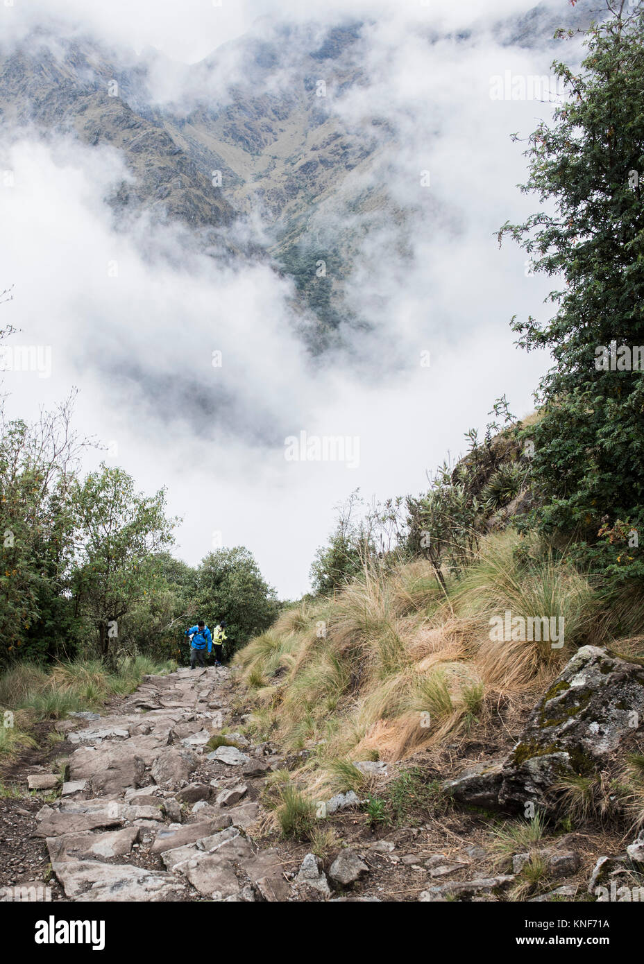 Zwei Menschen wandern auf dem Inka Trail, Huánuco, Peru, Südamerika Stockfoto