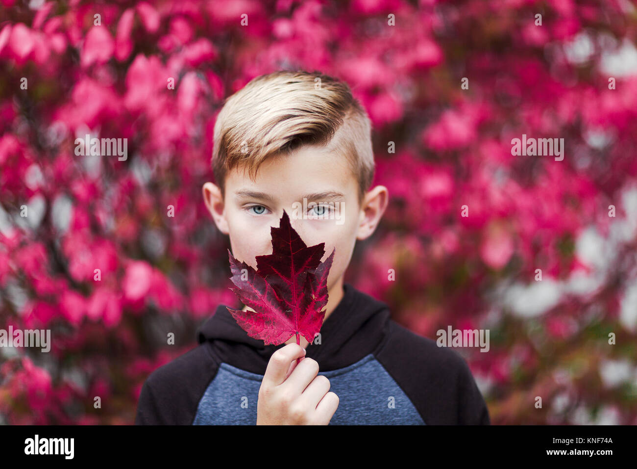 Portrait von Boy holding Blatt über Mund Stockfoto