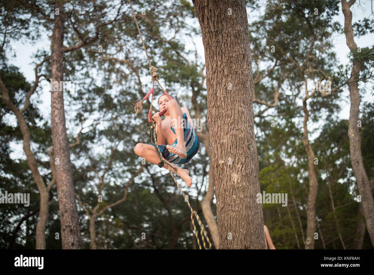 Junge Schwingen am Seil im Baum Stockfoto