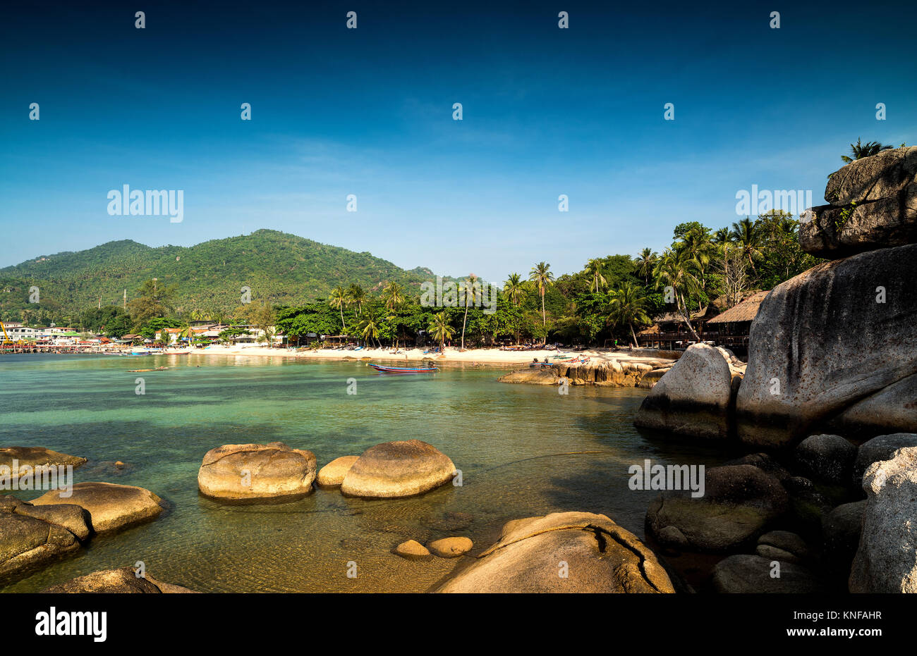 Tropische Insel.. Insel Ko Tao, Thailand Stockfoto