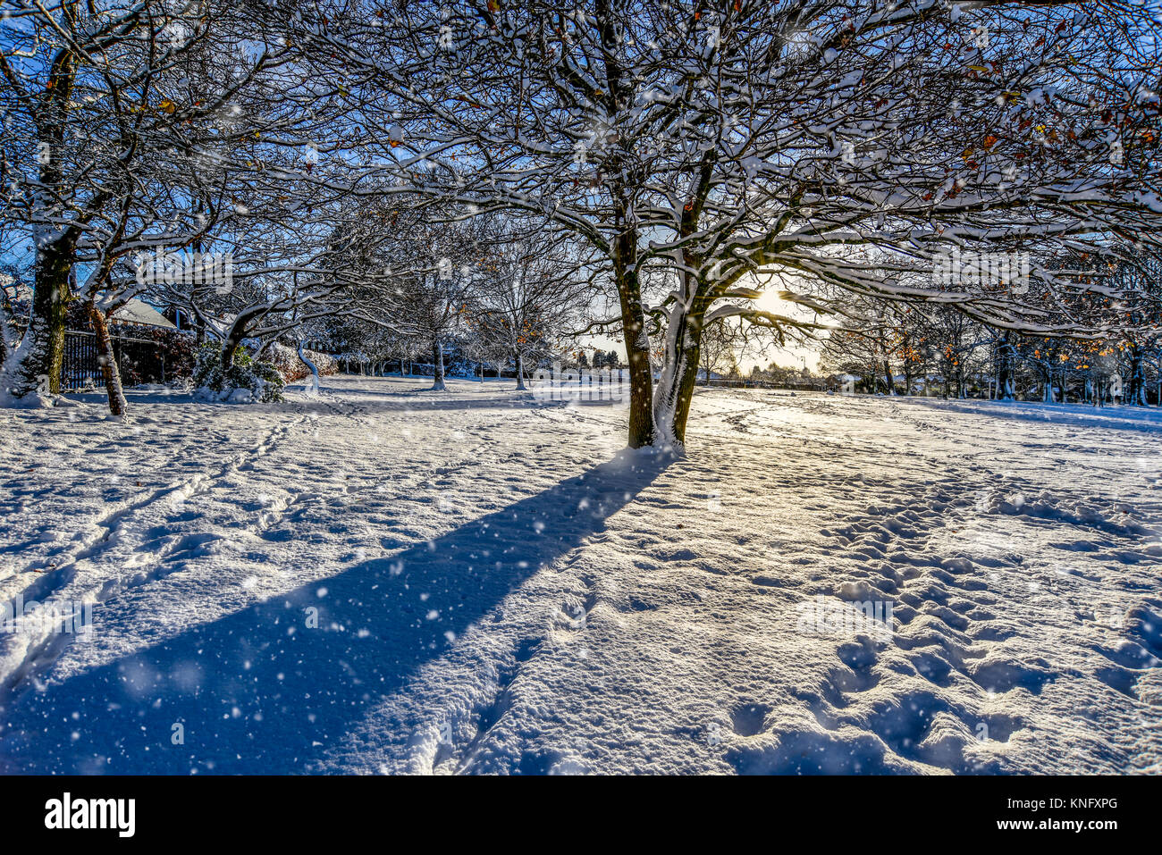 Ein winter Szene von Schneefall in einem Park Stockfoto