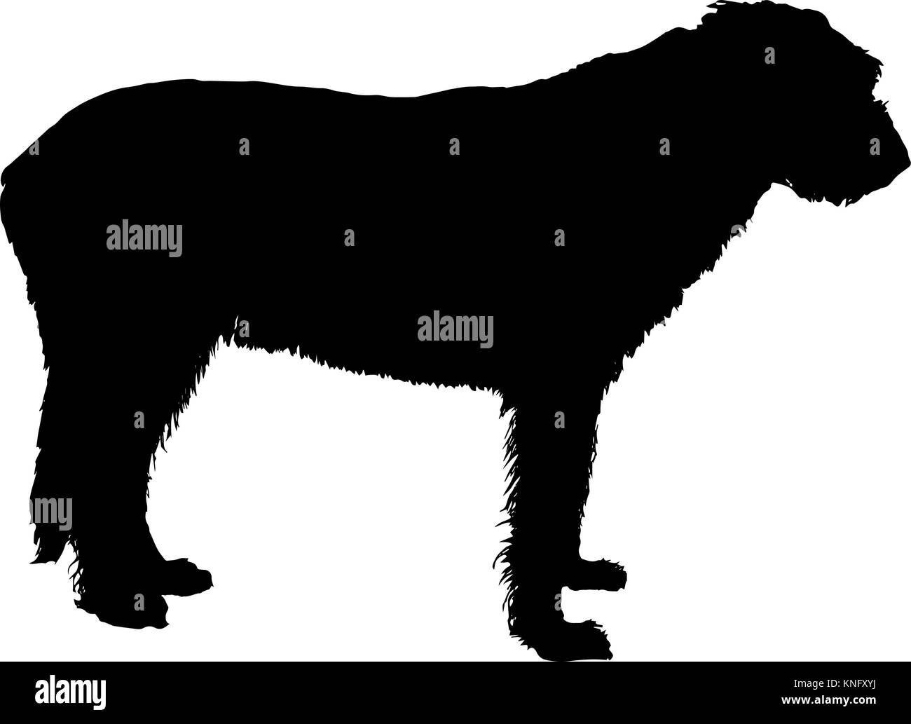 Irish Wolfhound vektor Silhouette auf weißem Hintergrund Stock Vektor