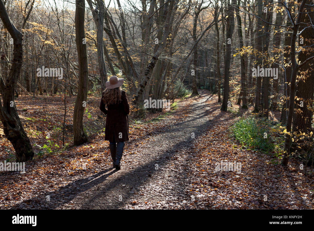 Dame Spaziergang durch Broxbourne Woods, National Nature Reserve, zusammen weg Stockfoto