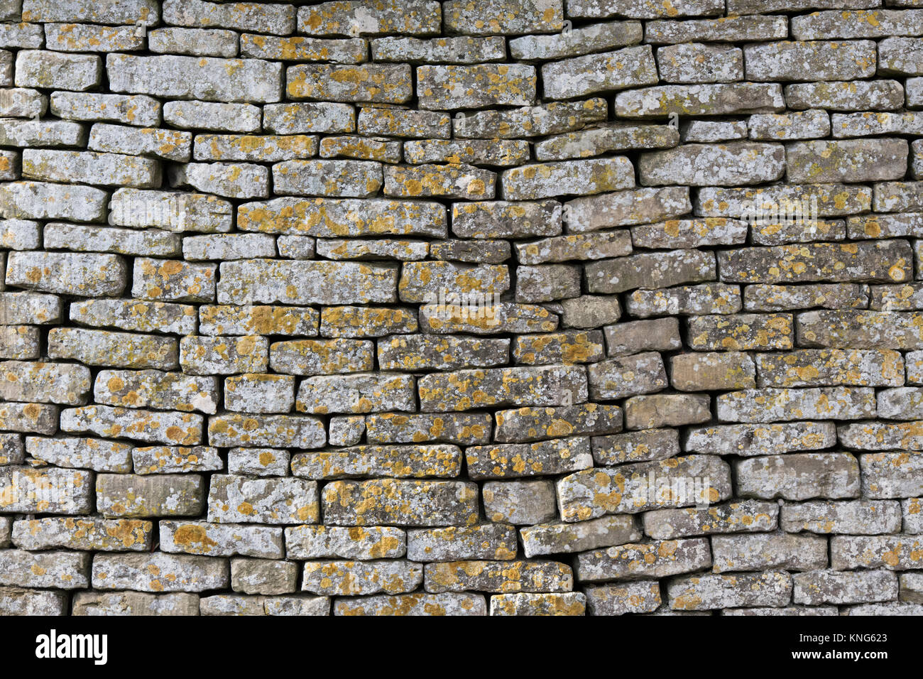 Trockenmauer. Cotswolds, England Stockfoto