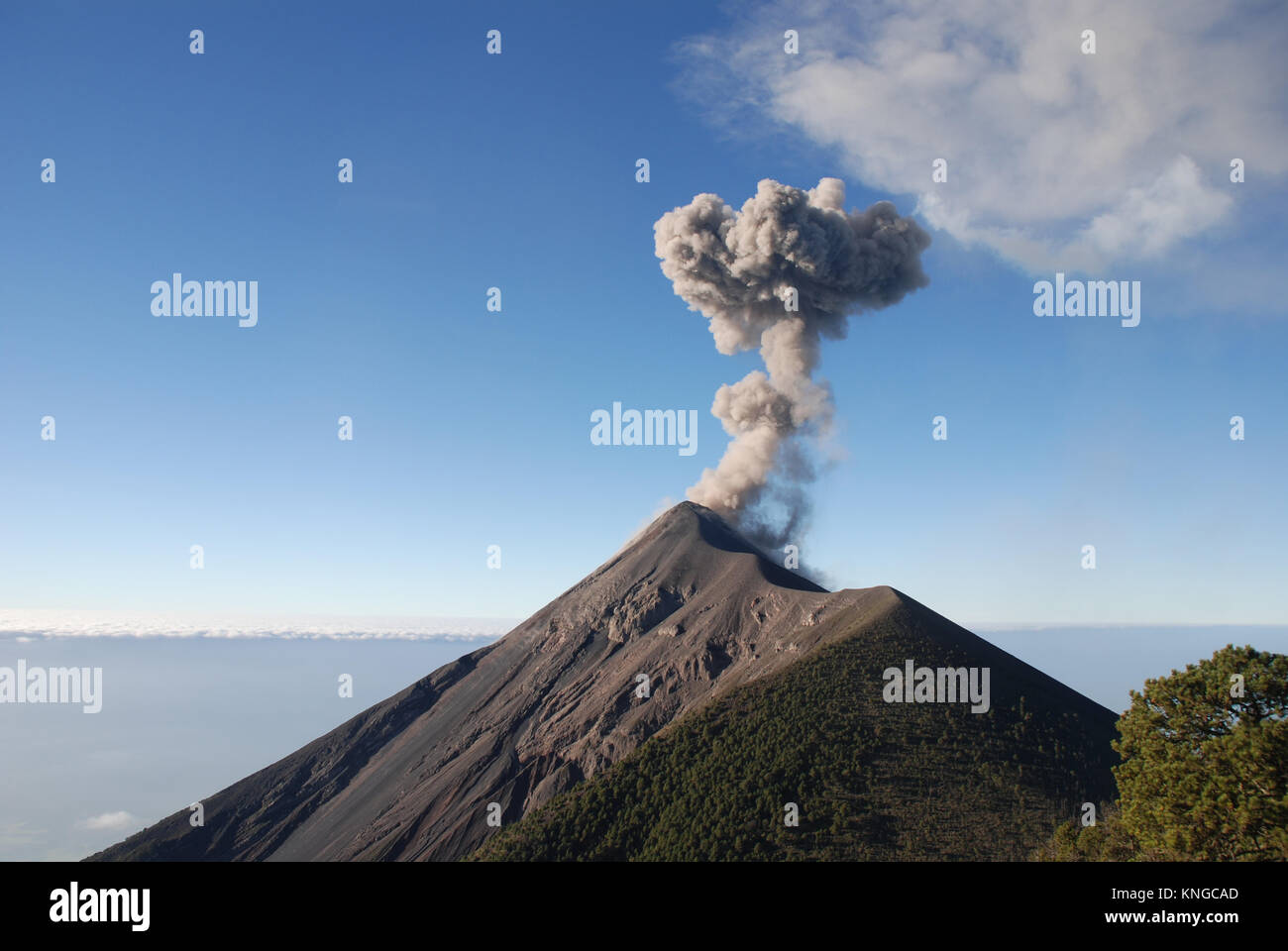 Eine Eruption des Vulkans Fuego in Guatemala, die die Welten die meisten kontinuierlich aktiven Vulkan Stockfoto