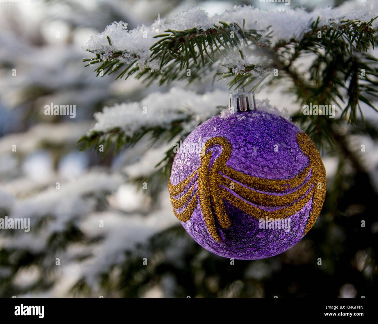 Das neue Jahr Spielzeug auf dem Zweig der Tannenbaum mit Schnee bedeckt Stockfoto