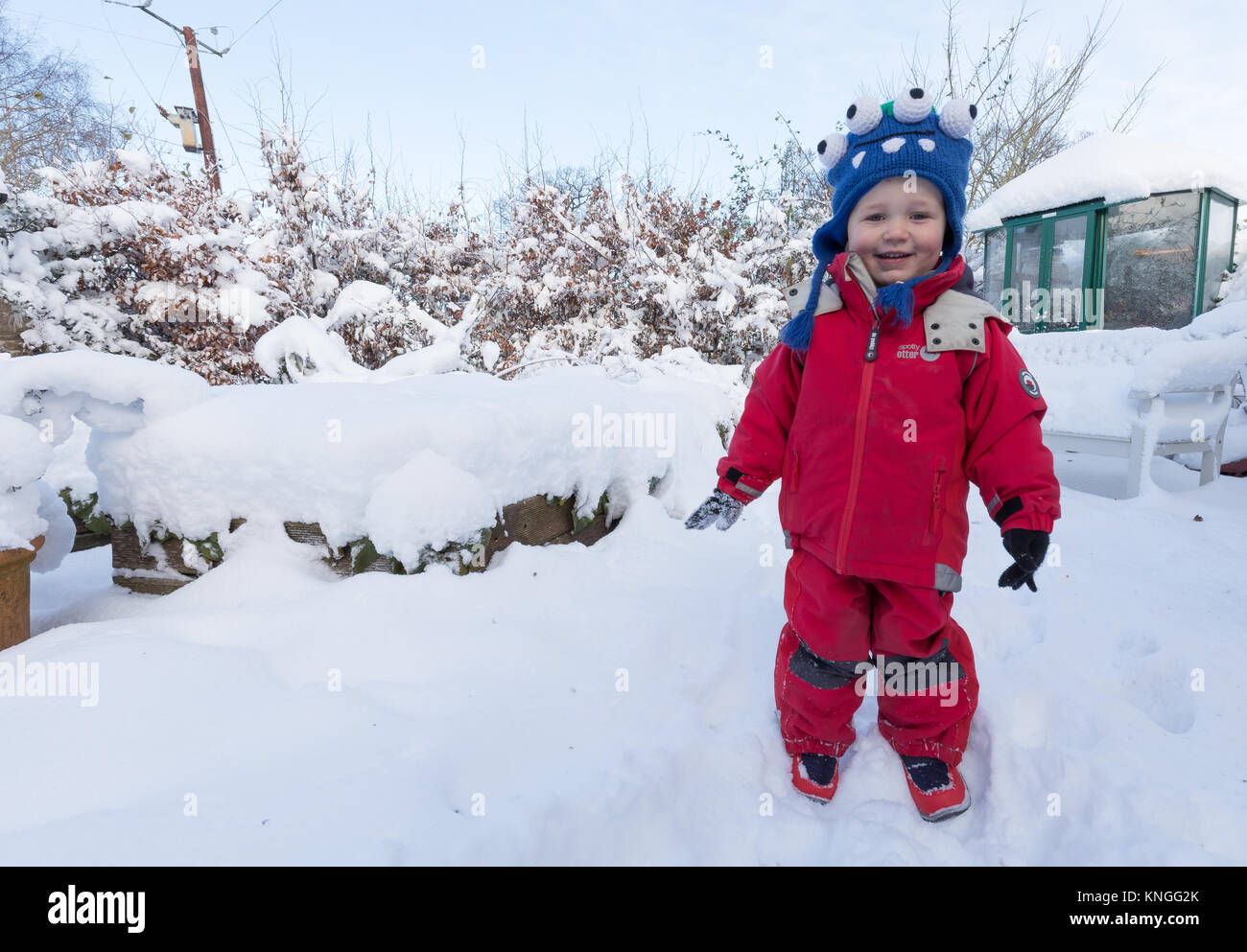 Der erste Schnee in diesem 3-jährigen Jungen Leben! Im Garten in Herefordshire, UK. Stockfoto