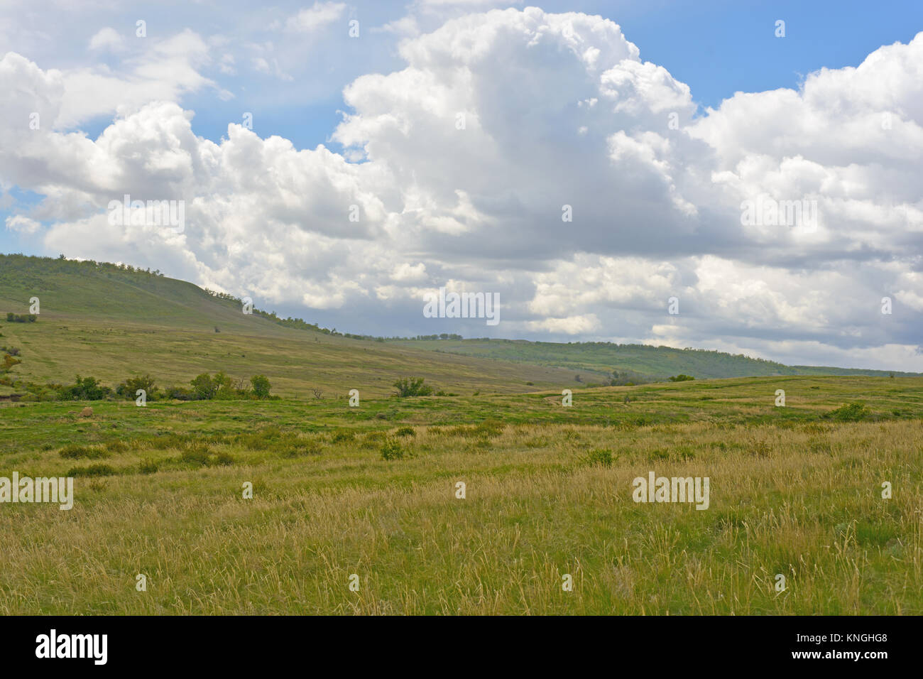 Park Scherbakovsky, Gebiet Wolgograd, Russland, 17. Mai 2015. Die weiten Hügel des Parks. Dies ist nur ein kleiner Teil des Parks natsyonalnogo Stockfoto