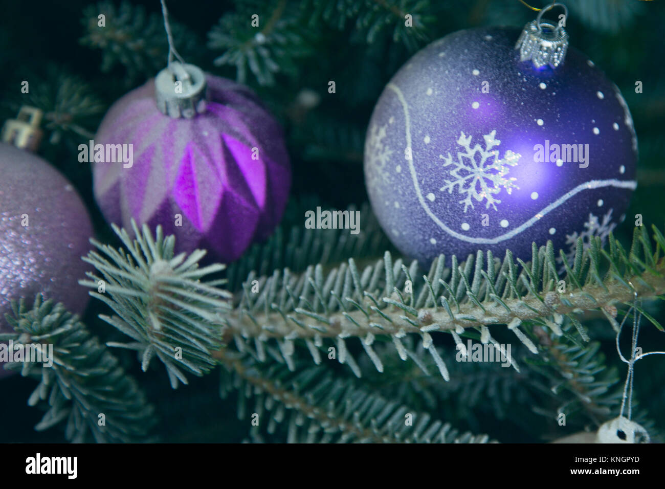 Urlaub Hintergrund mit geschmückten Weihnachtsbaum. Lila und rosa glitter Flitter hängen am Weihnachtsbaum. Einen großen lila Glas bal mit Schneeflocke pa Stockfoto